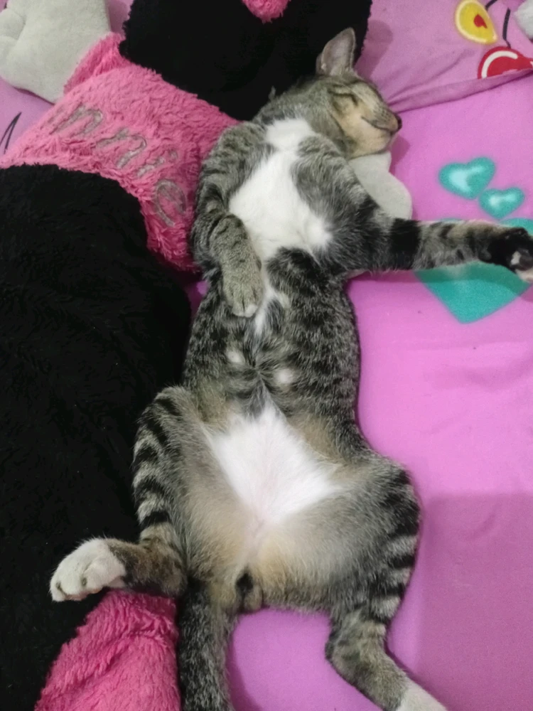 GIF uploaded by Rin