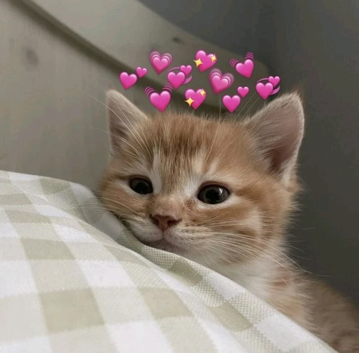 GIF gi-upload ni Adelia