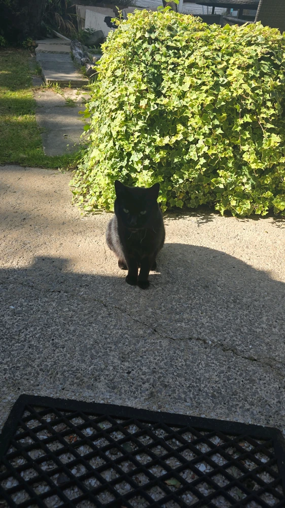 GIF uploaded by DezzieDee