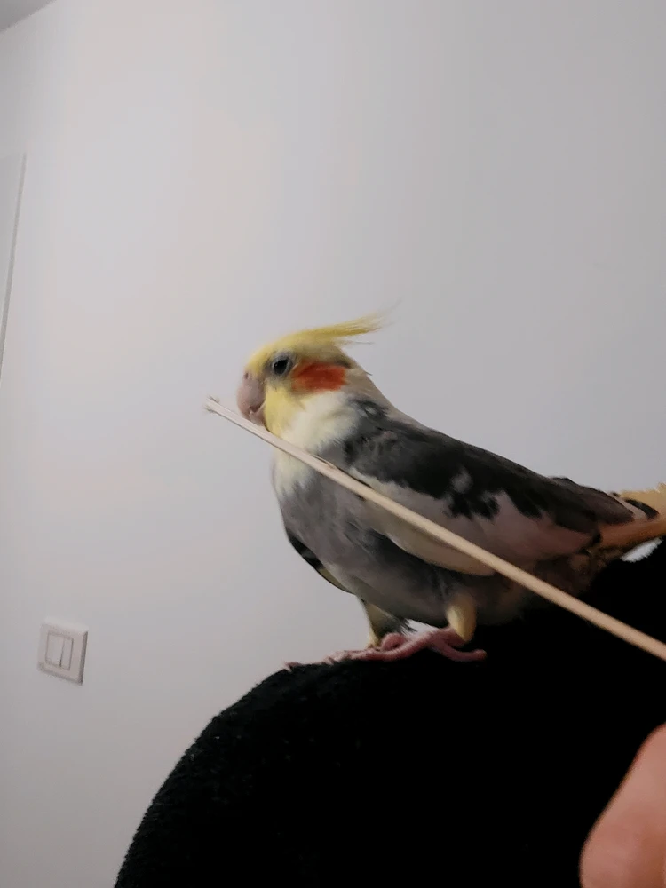 GIF uploaded by Filip