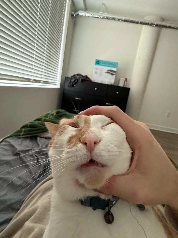 GIF uploaded by Kenny