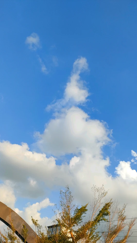 GIF uploaded by Yayu