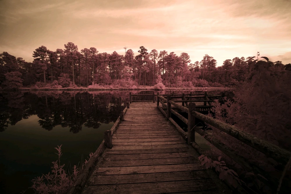 Image uploaded by Riker