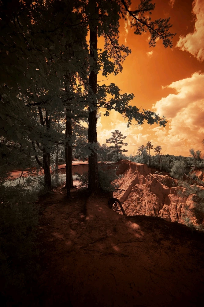 Image uploaded by Riker
