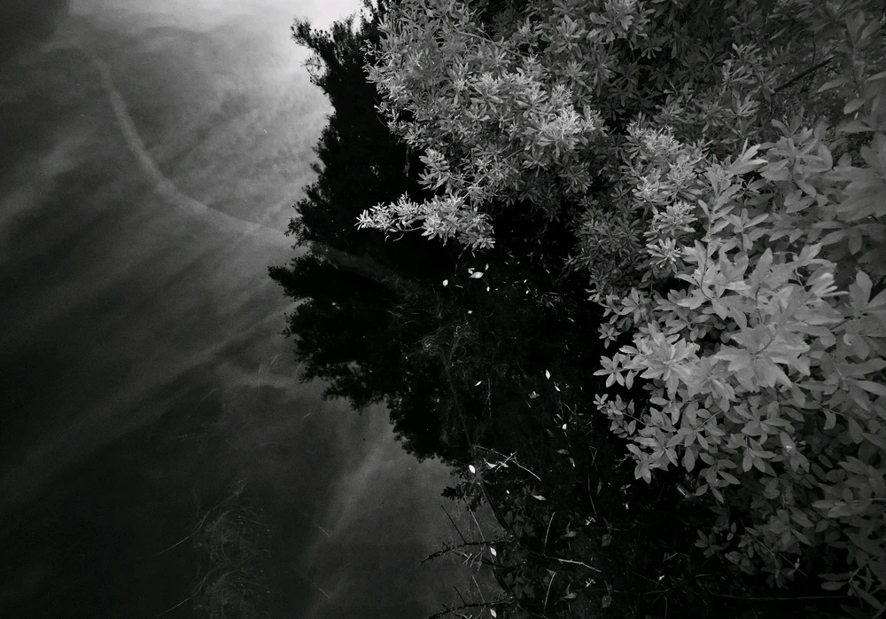 Image uploaded by Riker