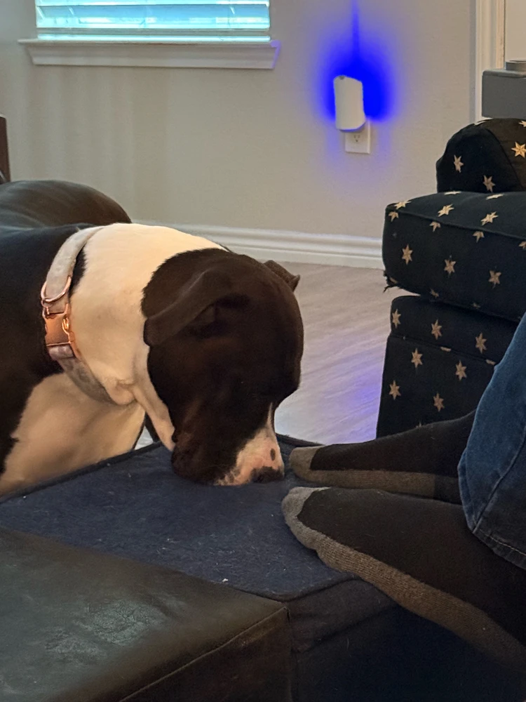 GIF uploaded by JC