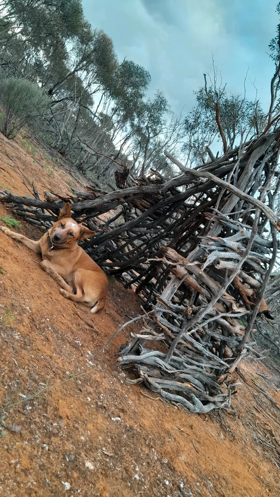 GIF uploaded by Abbi
