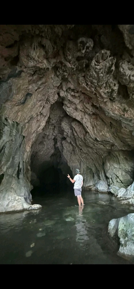 GIF uploaded by Conlan