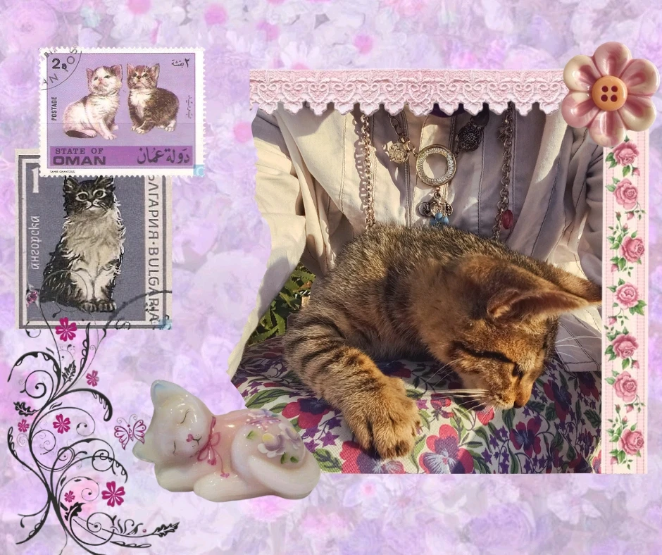 GIF gi-upload ni Luna
