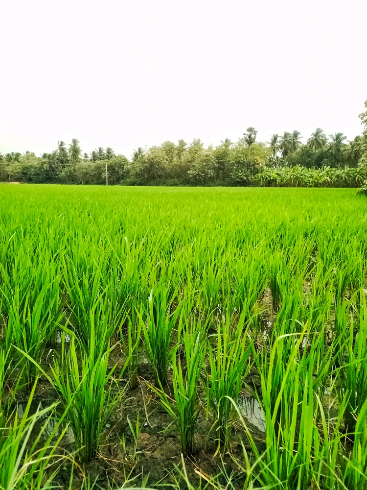 GIF uploaded by Bharath