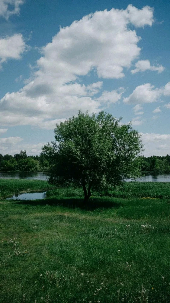 Image uploaded by Veronika