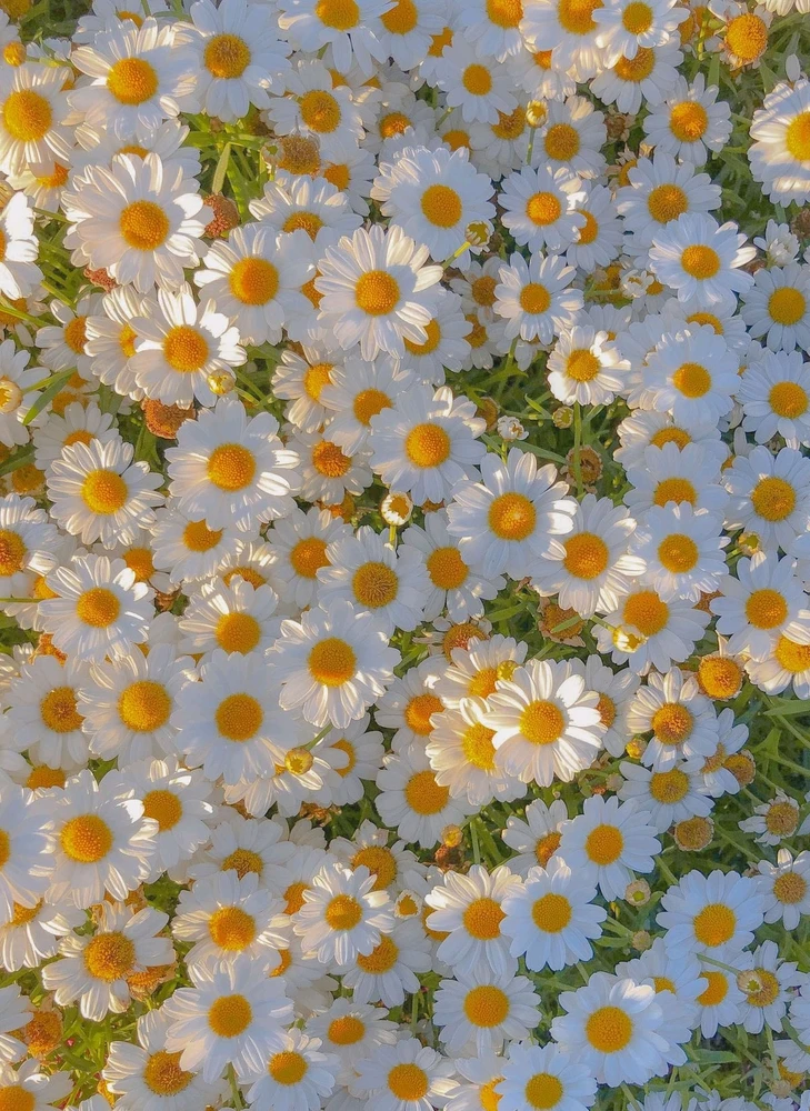 GIF uploaded by Thilaortal