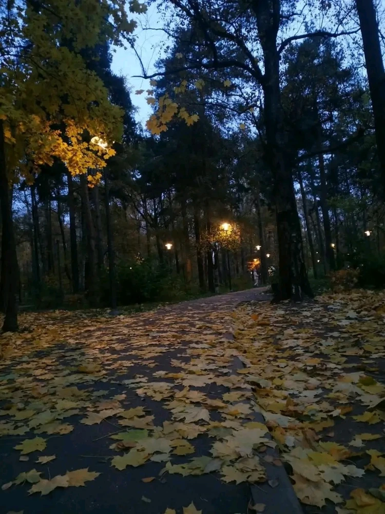GIF uploaded by ❤ Sophia aka Mango Mami ❤️