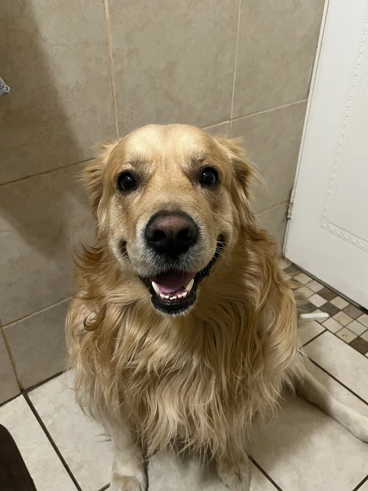 GIF uploaded by Keisha