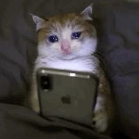 GIF na in-upload ni Malik