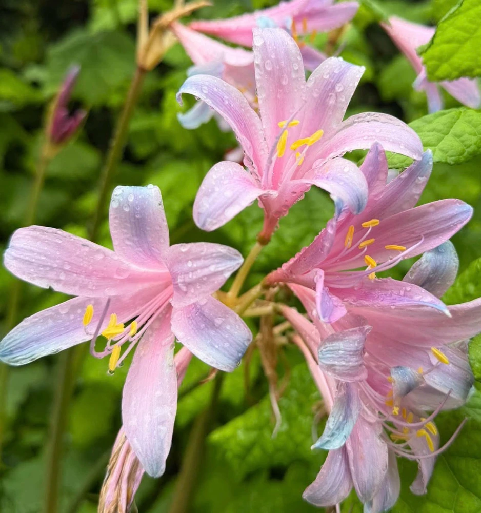 GIF uploaded by bellissima