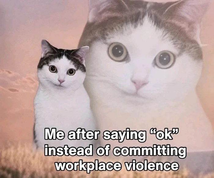 GIF uploaded by Edison