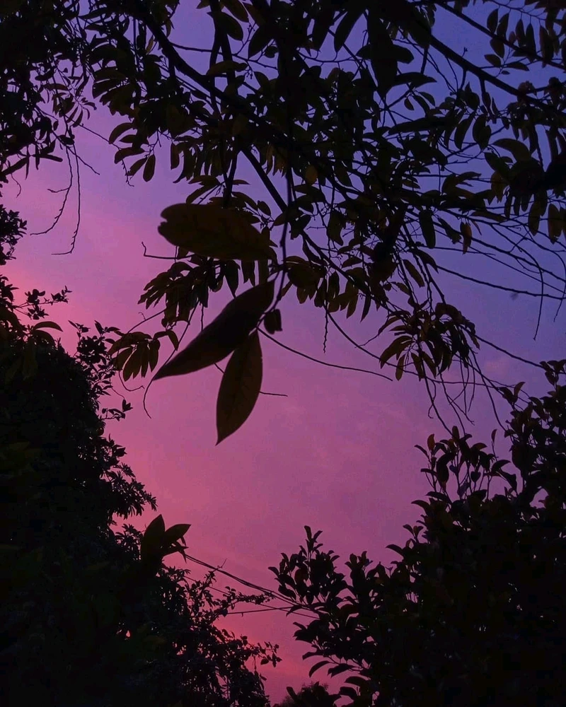 تصویر آپلود شده توسط Sumeeth Mantri