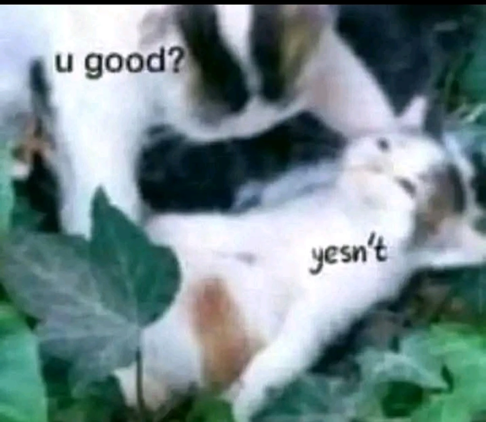 GIF uploaded by P