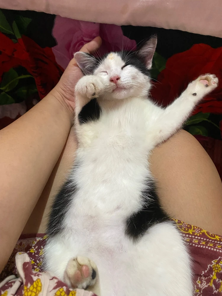 GIF uploaded by Stasya