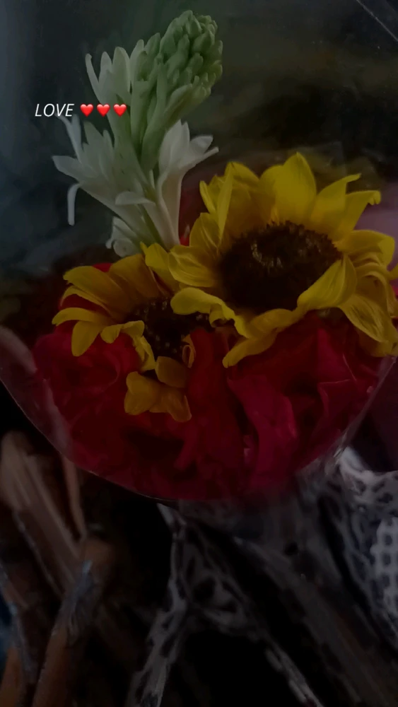 GIF uploaded by Hani