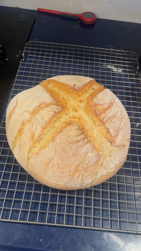 Image uploaded by CJ