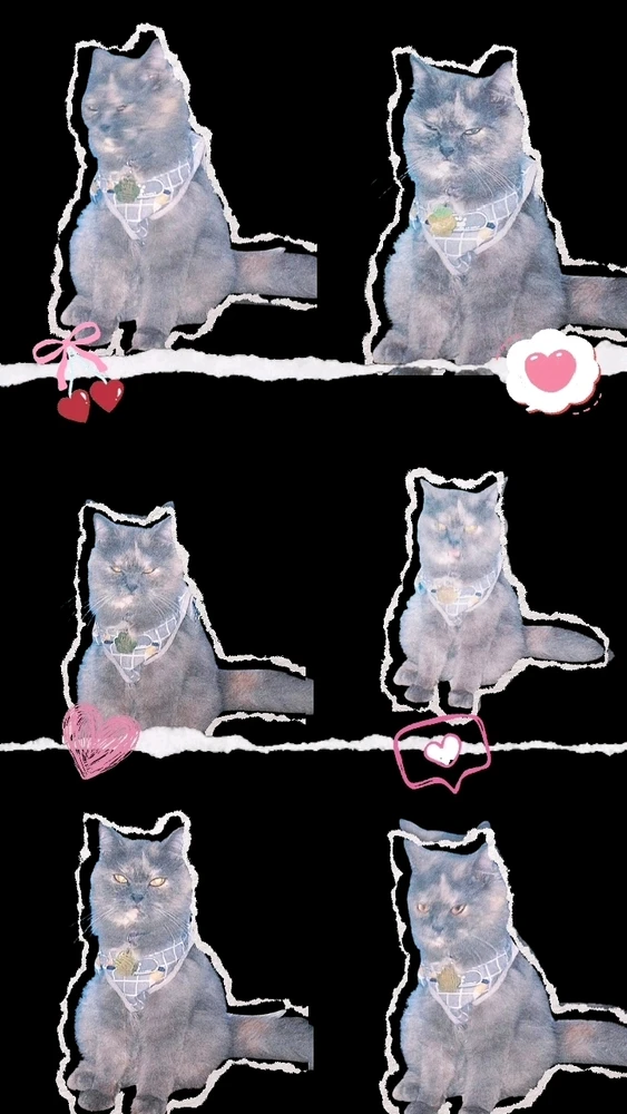GIF uploaded by xaixai