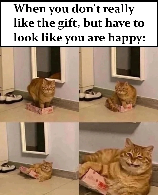 GIF Thomas tarapyndan ýüklenen