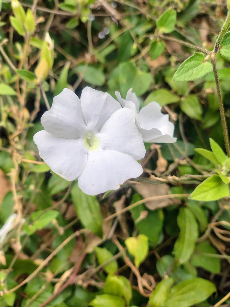 GIF uploaded by Praveen