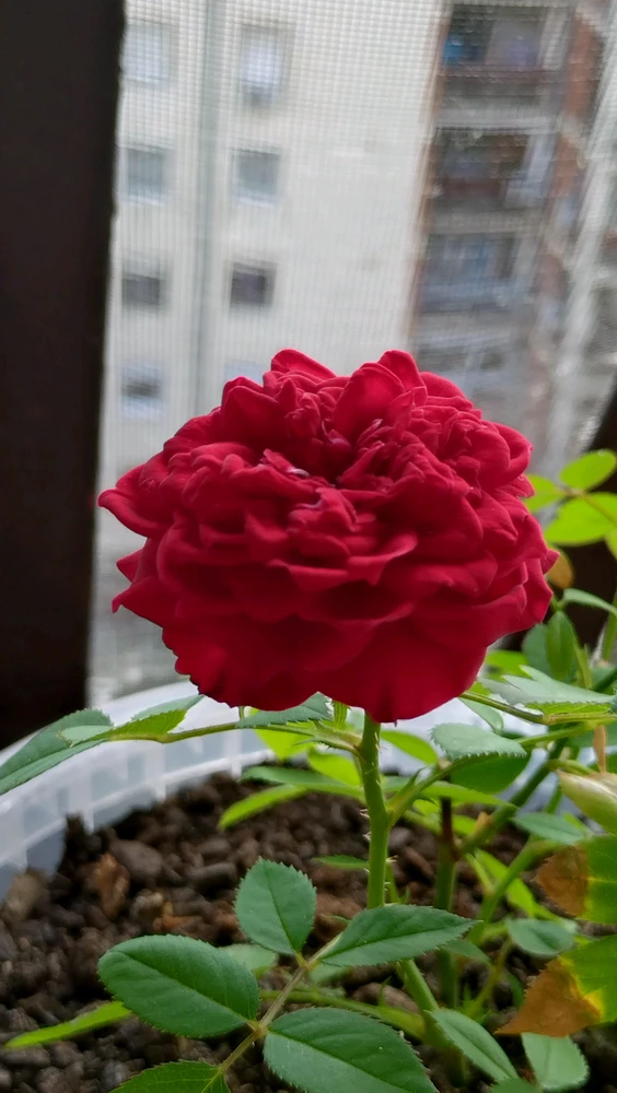 GIF uploaded by 🥸