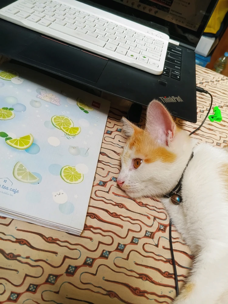 GIF gi-upload ni Hanif