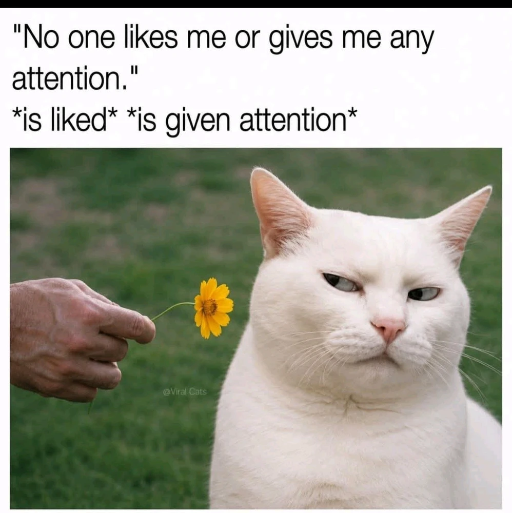 GIF uploaded by Erica