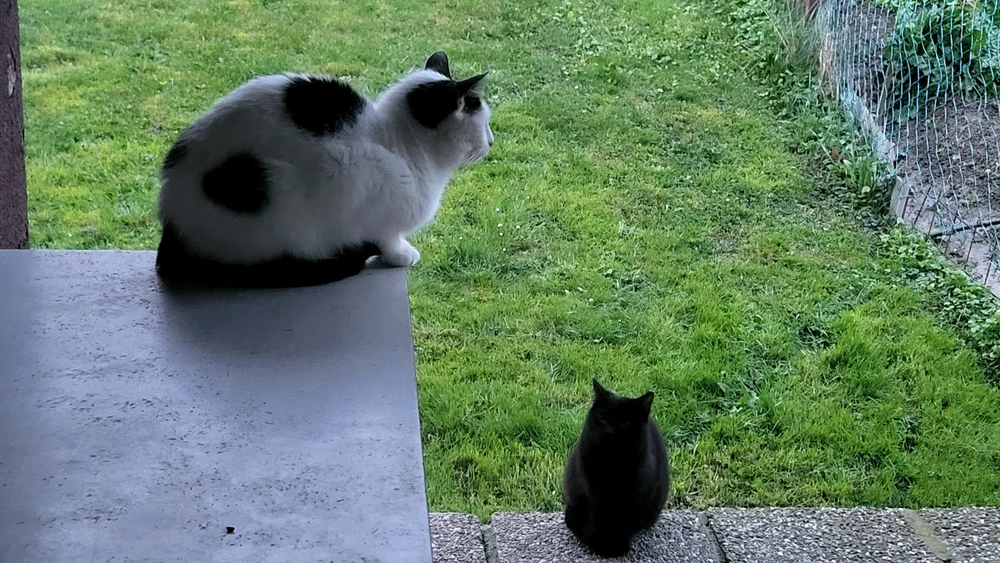 GIF nahrál Stanislav
