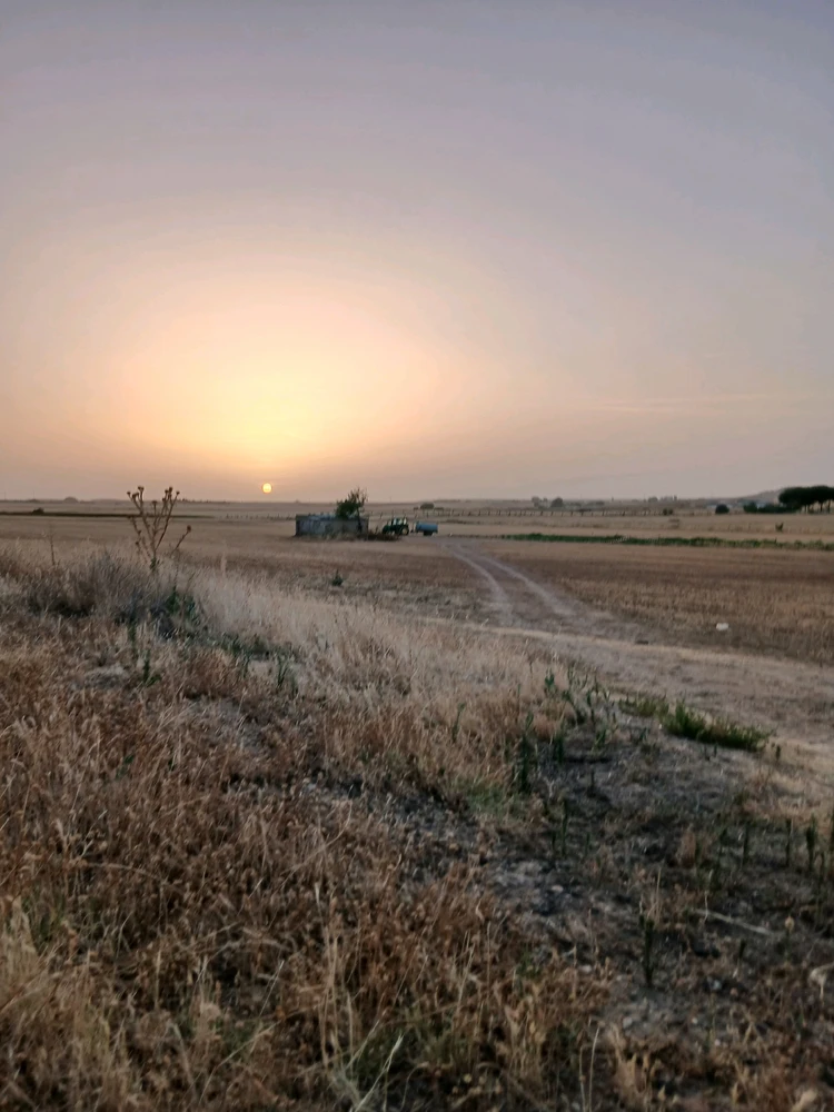 Image uploaded by jorge  maru