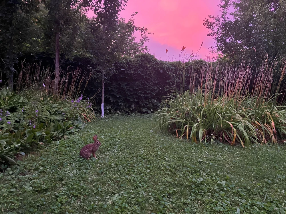 Image uploaded by Violaine