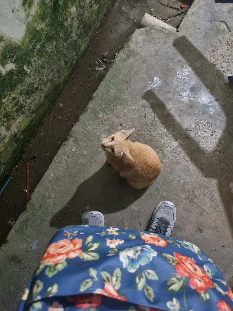 GIF uploaded by Saltea