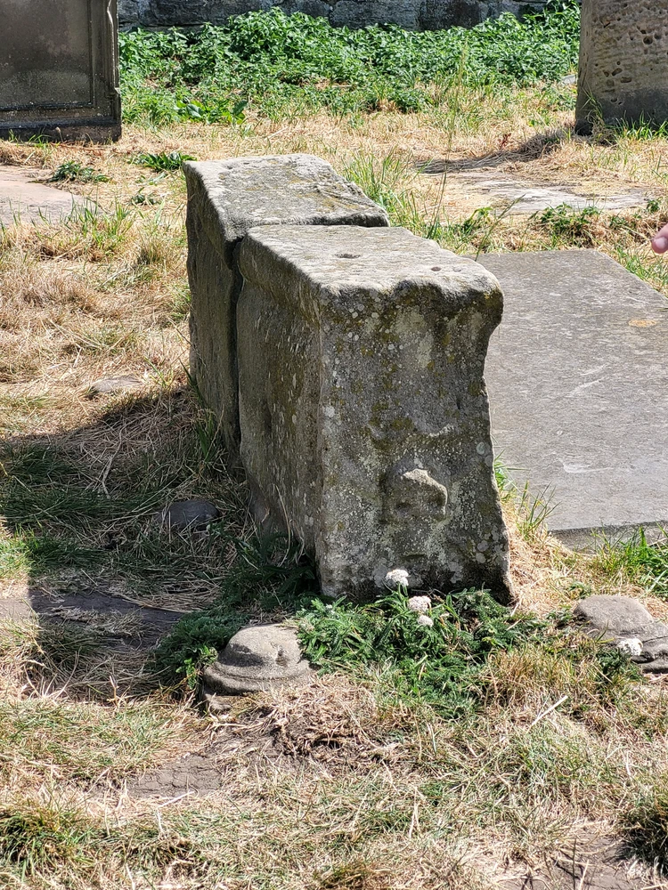 Dracula grave