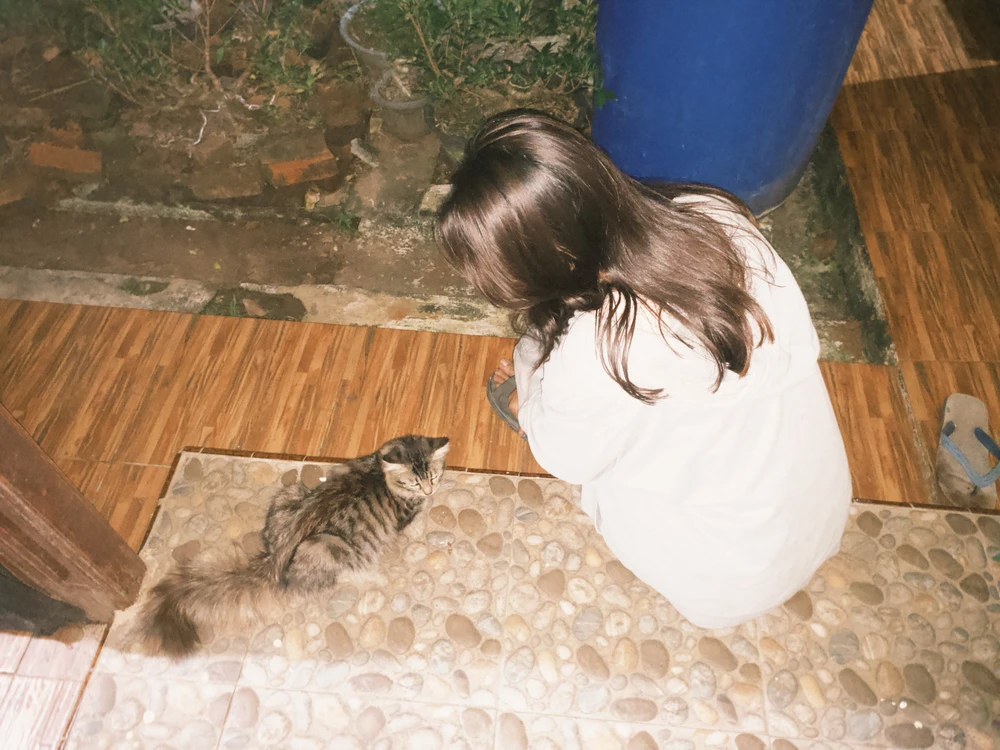 GIF tso los ntawm Nadia