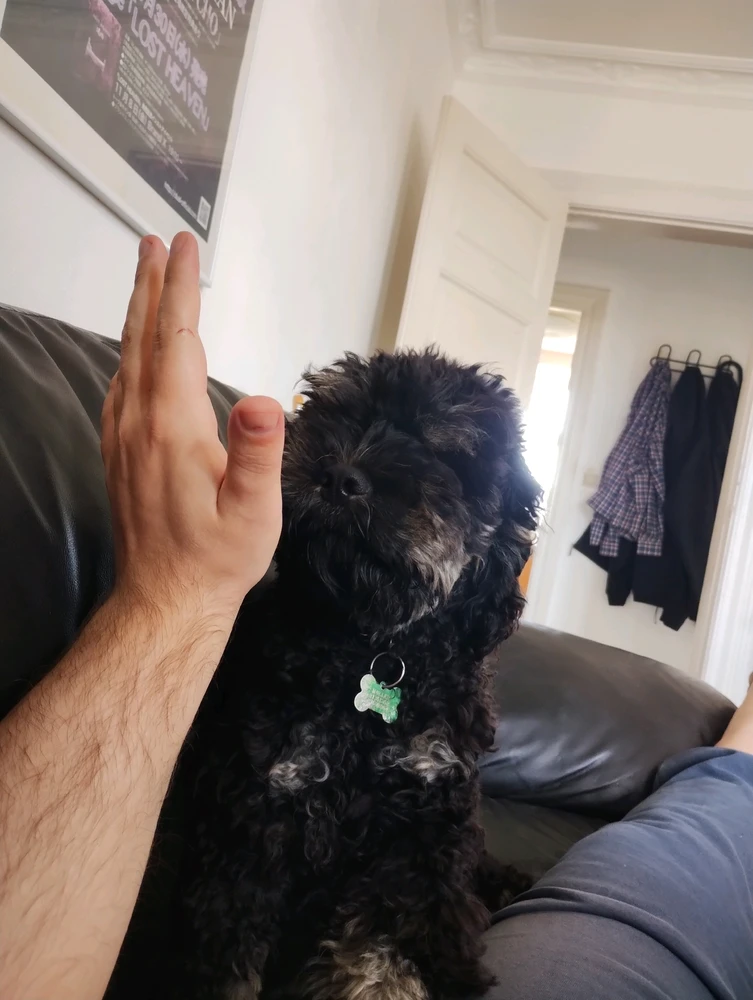 Andreas Sauer님이 올린 GIF