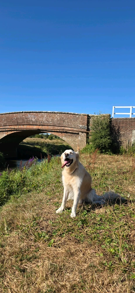 GIF uploaded by Marley