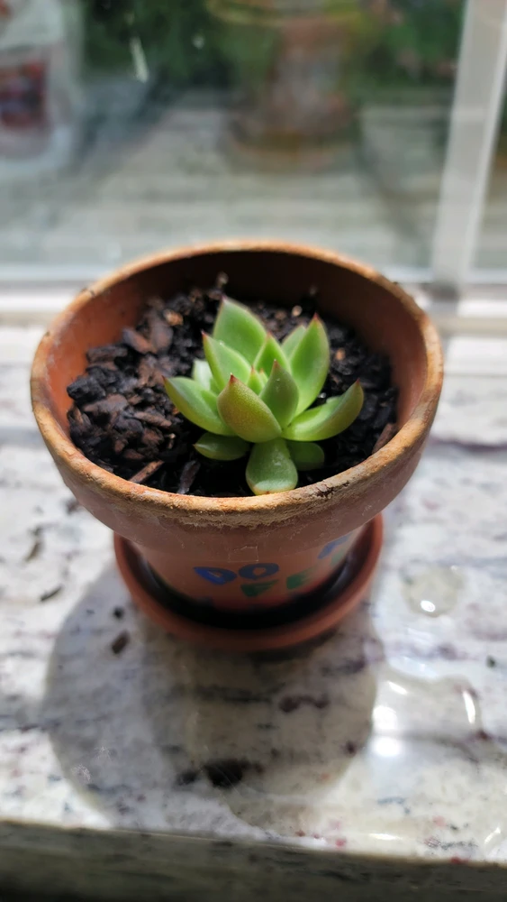 GIF uploaded by Dallin