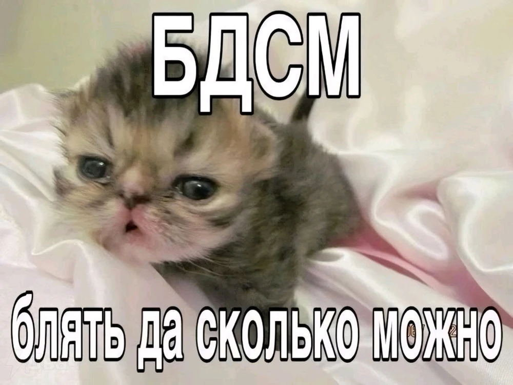 GIF tso los ntawm Rose