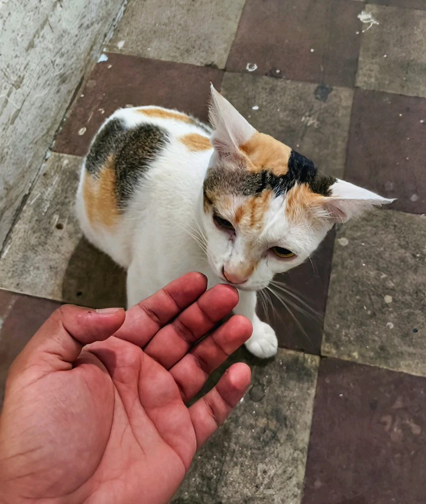 GIF uploaded by Thiha