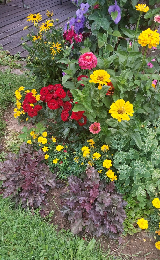 GIF uploaded by VISTULABOY
