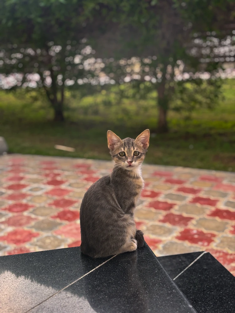 GIF uploaded by Aneez