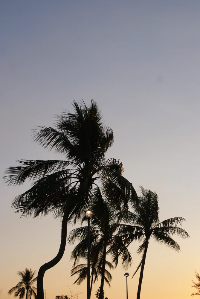 GIF uploaded by Eli