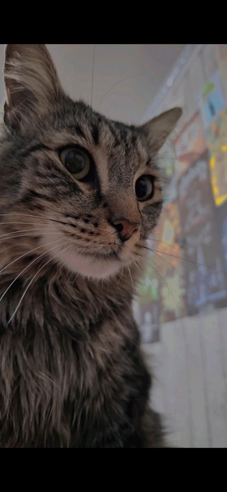 GIF uploaded by Dani