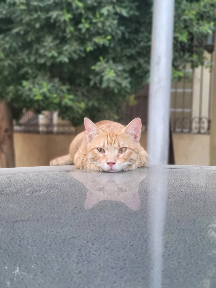 GIF uploaded by Harry