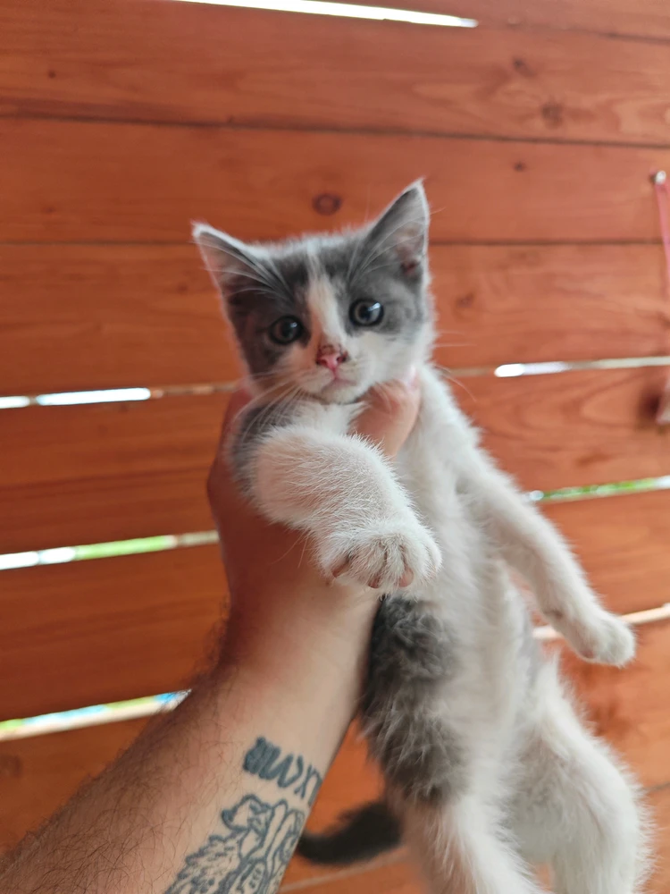 GIF uploaded by Roman