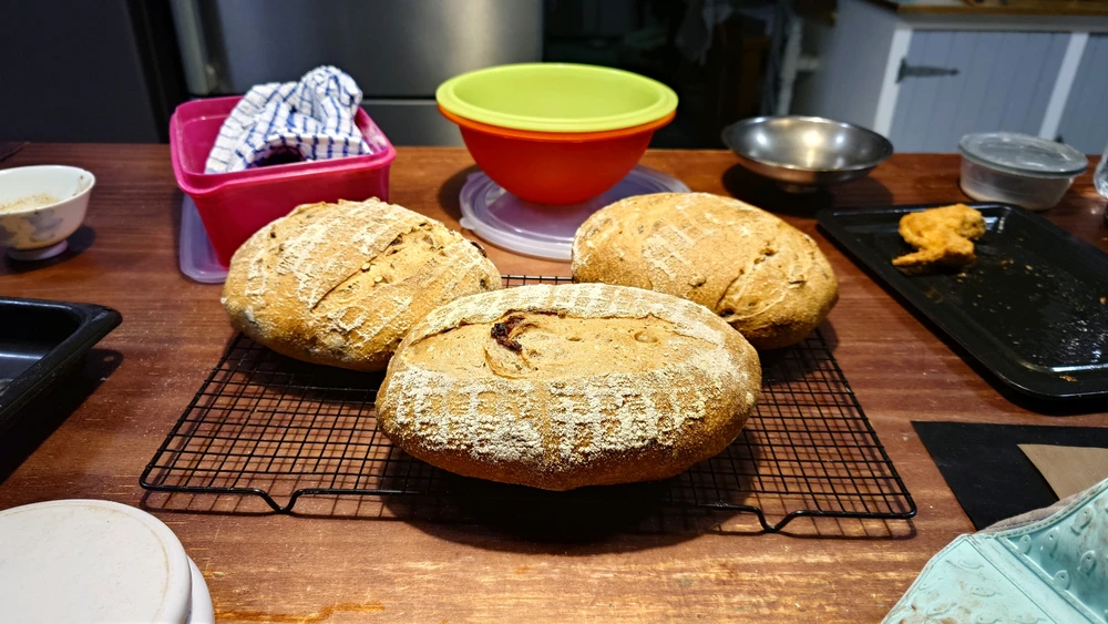 Fotku nahral/-a CheffieGR